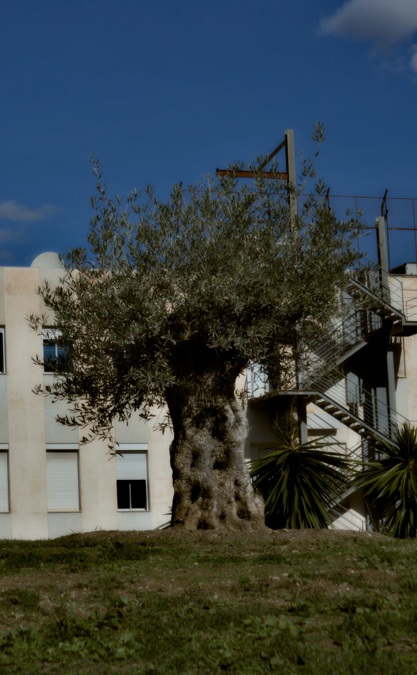 Industar-50-2 50mm f3.5 (M42) - _I4A2423.webp